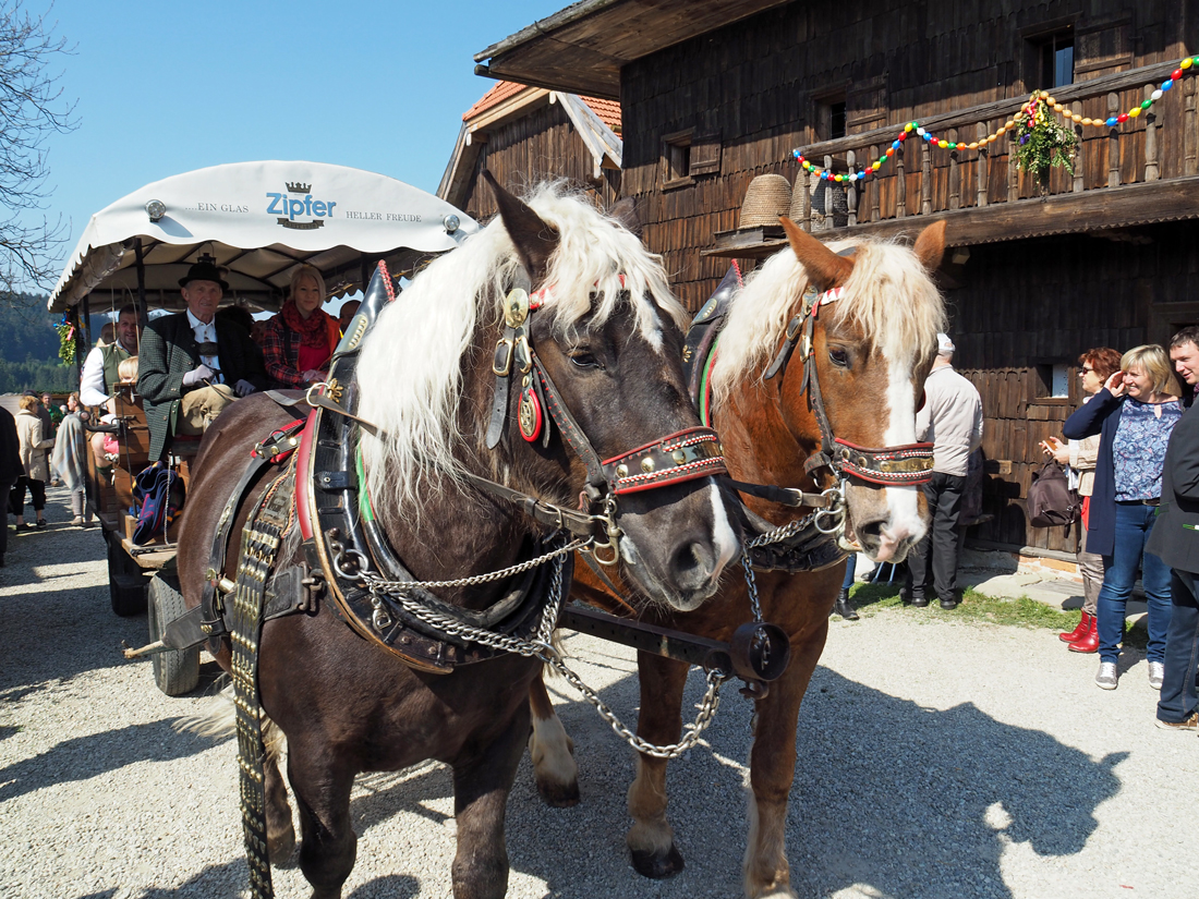 Ostermarkt-2017-28