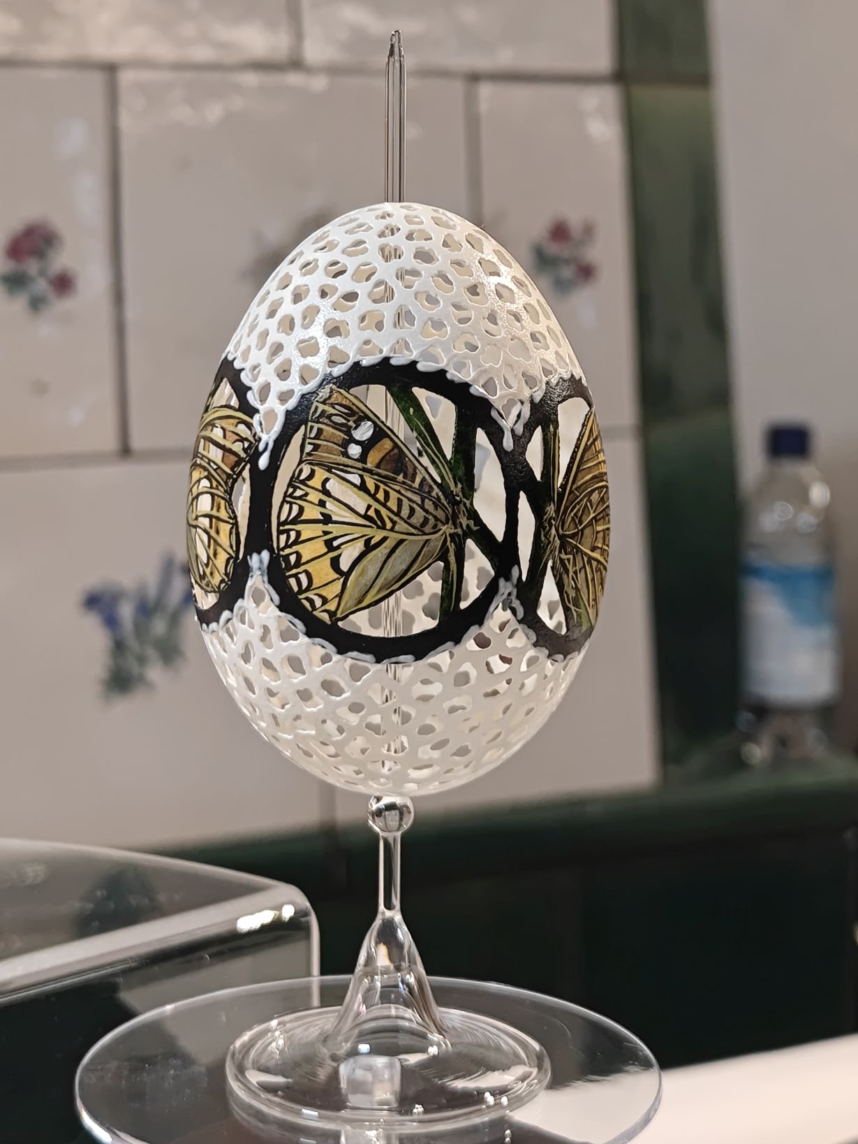 IMG20260320162558 BURST000 COVER