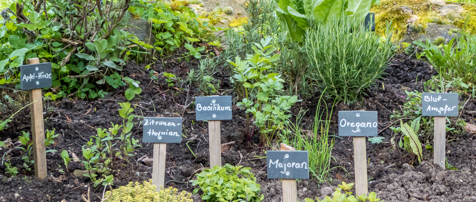 Stehrerhof Kräutergarten
