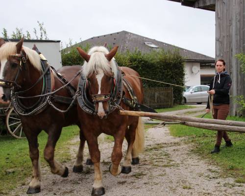 Bild12_original