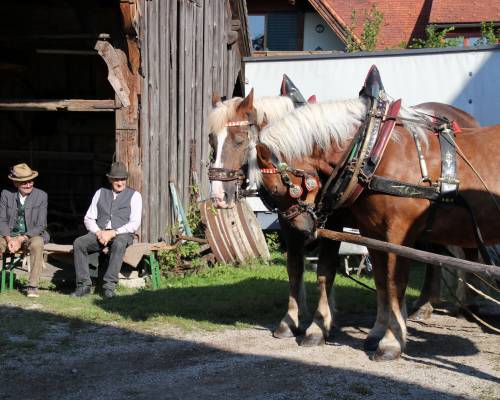 Bild15_original
